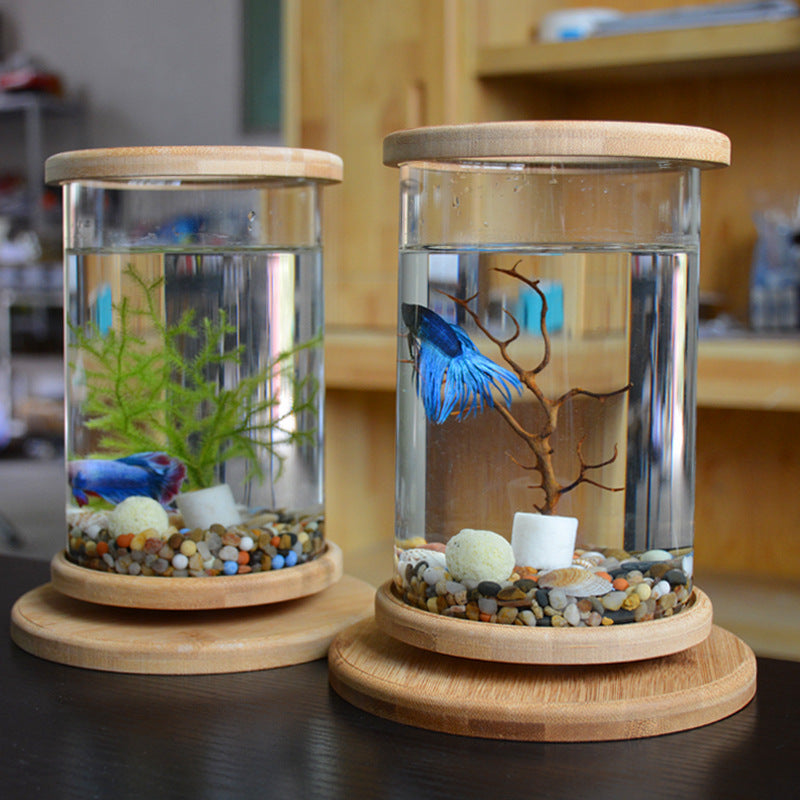 Mini Glass Aquarium with Bamboo Base – Decorative Fish Tank for Small Offices